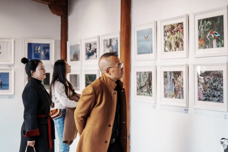 Shoot Without a Sound: How the X-T100's Electronic Shutter Unlocks a Whole New Kind of Photography
